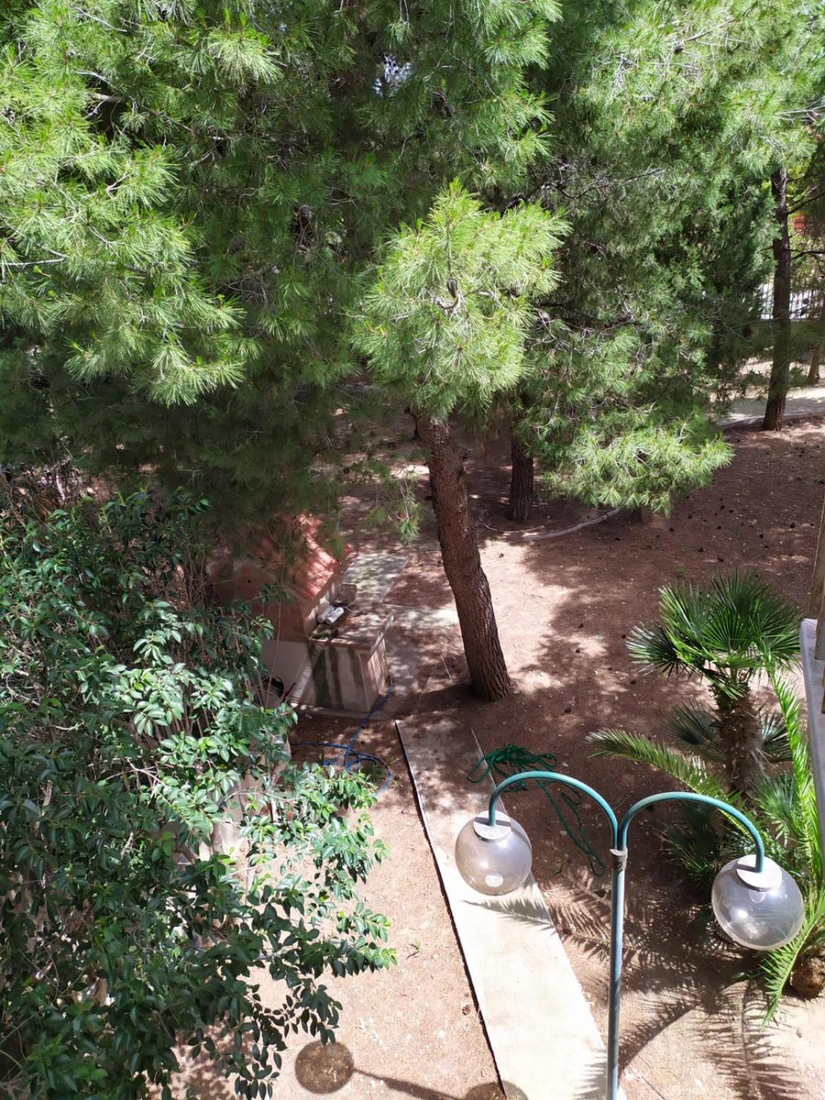 特拉尼Terra Bianca住宿加早餐旅馆 客房 照片